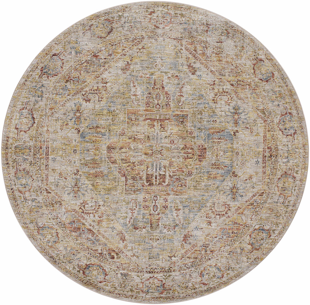Alois Traditional Style Rust And Tan Area Rug