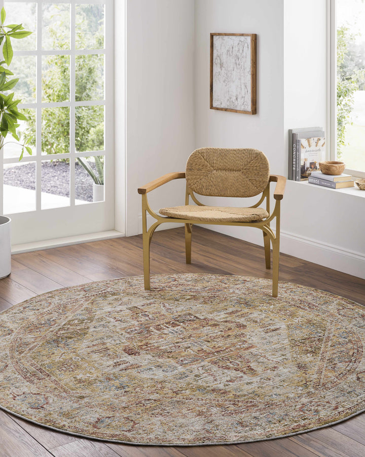 Alois Rust And Beige Traditional Style Area Rug