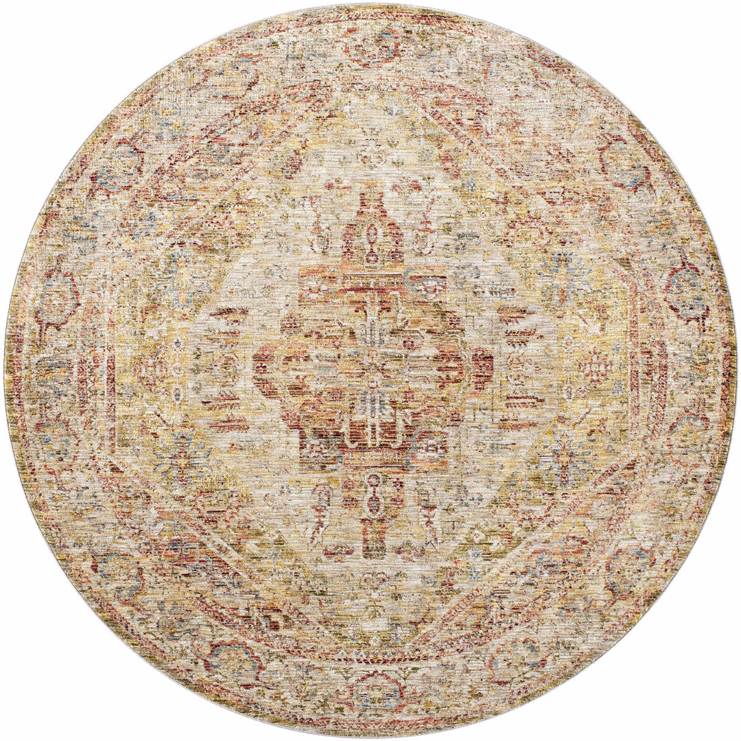 Alois Rust And Beige Traditional Style Area Rug