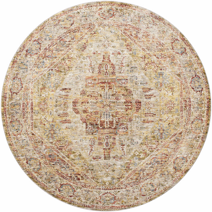 Alois Rust And Beige Traditional Style Area Rug