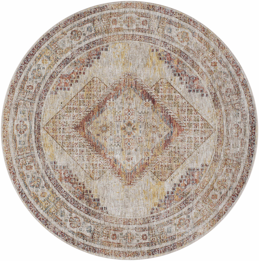 Moya Traditional Style Beige And Rust Area Rug
