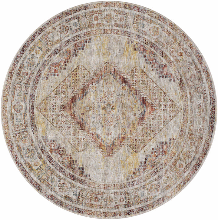 Moya Traditional Style Beige And Rust Area Rug