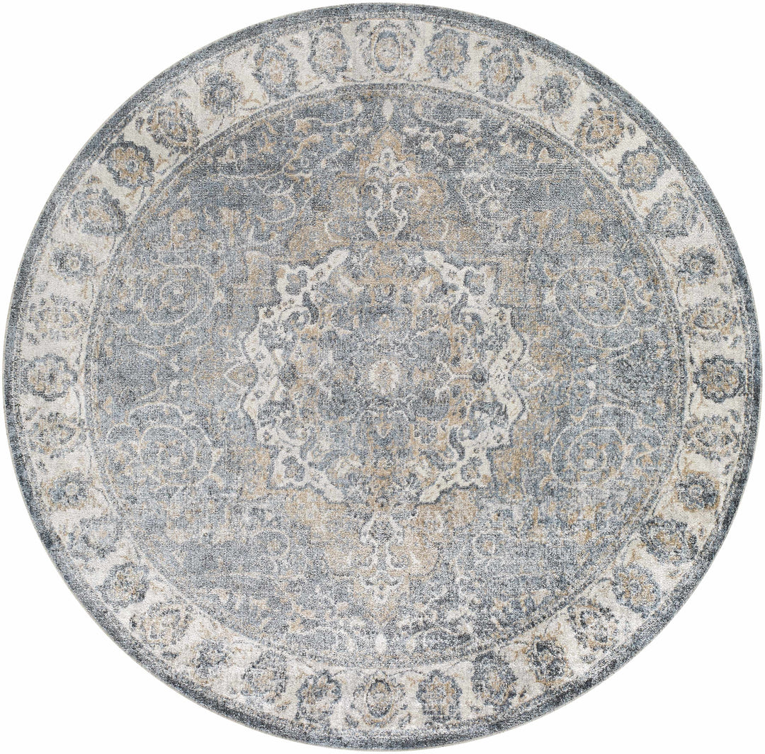 Aurum Traditional Style Ivory And Gray Washable Area Rug