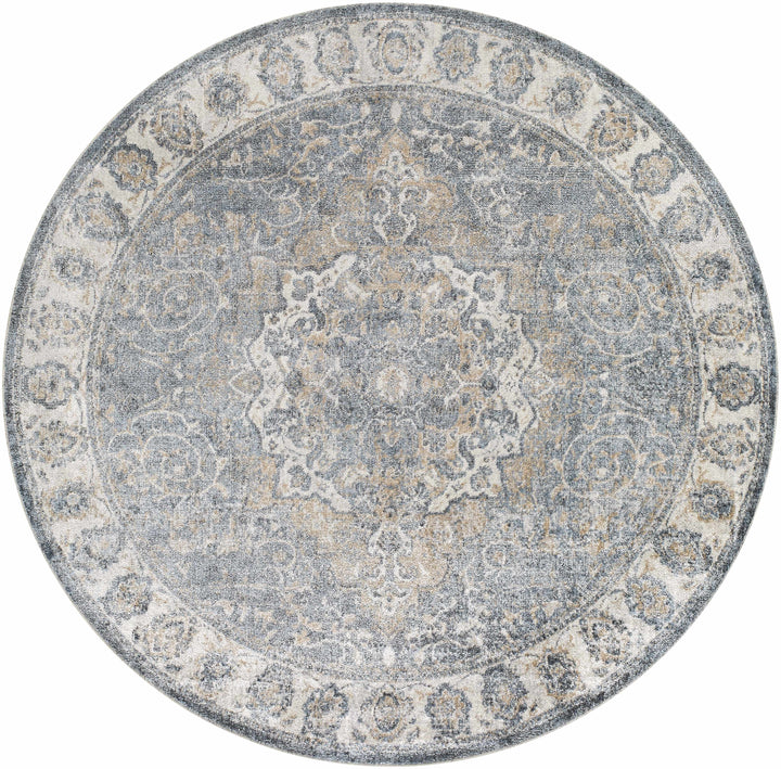 Aurum Traditional Style Ivory And Gray Washable Area Rug