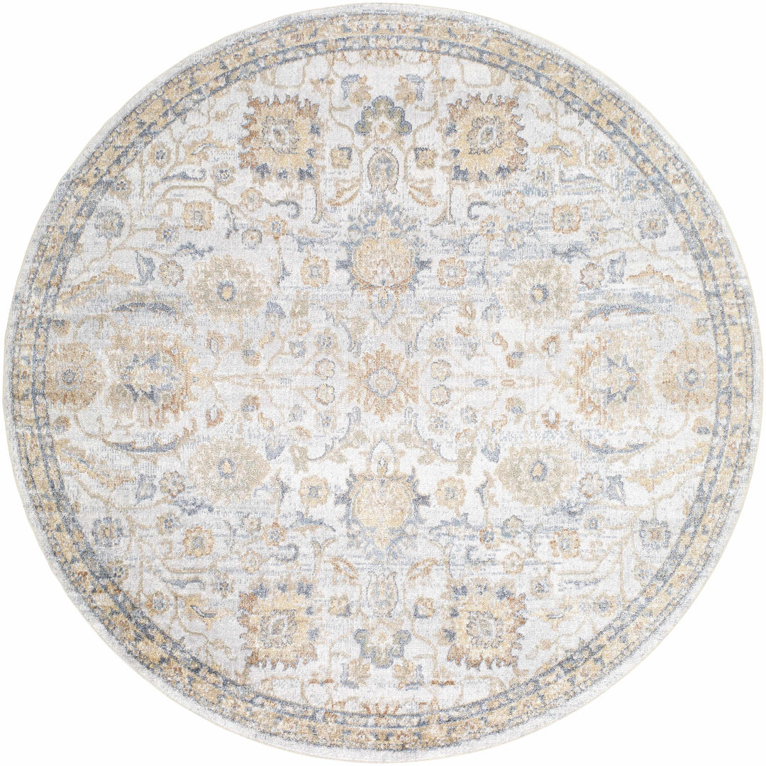 Dion Traditional Style Beige And Gray Washable Area Rug