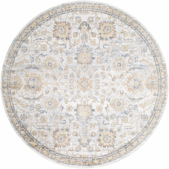 Dion Traditional Style Beige And Gray Washable Area Rug