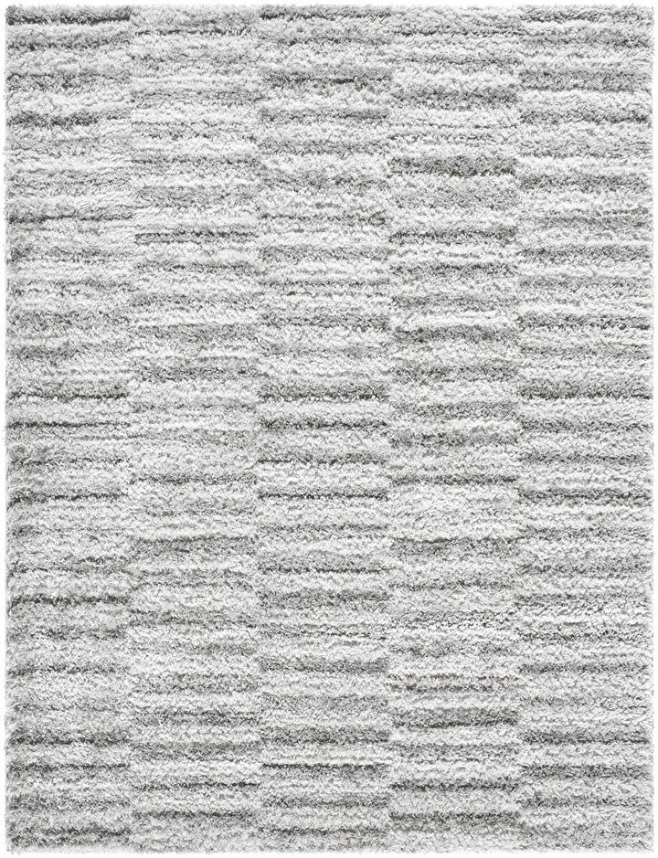 Anevay Modern Stripes Design Gray Area Rug