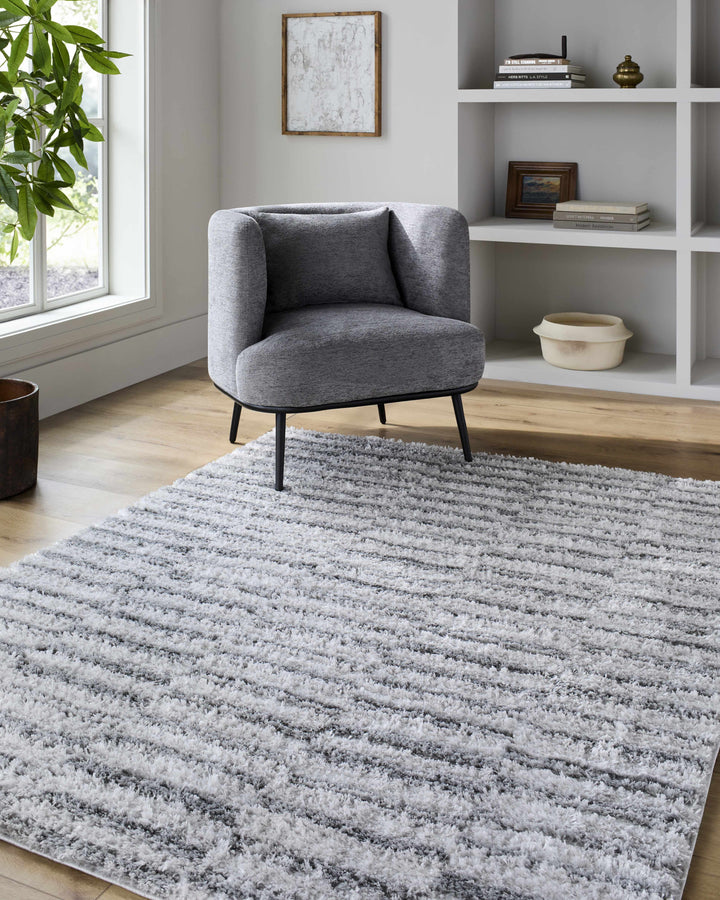 Anevay Modern Stripes Design Gray Area Rug