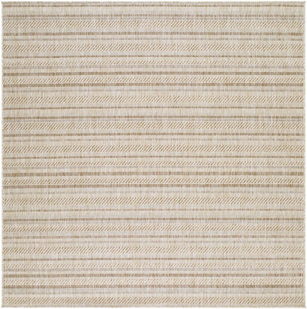 Sultanhisar Contemporary Style Beige Outdoor Area Rug