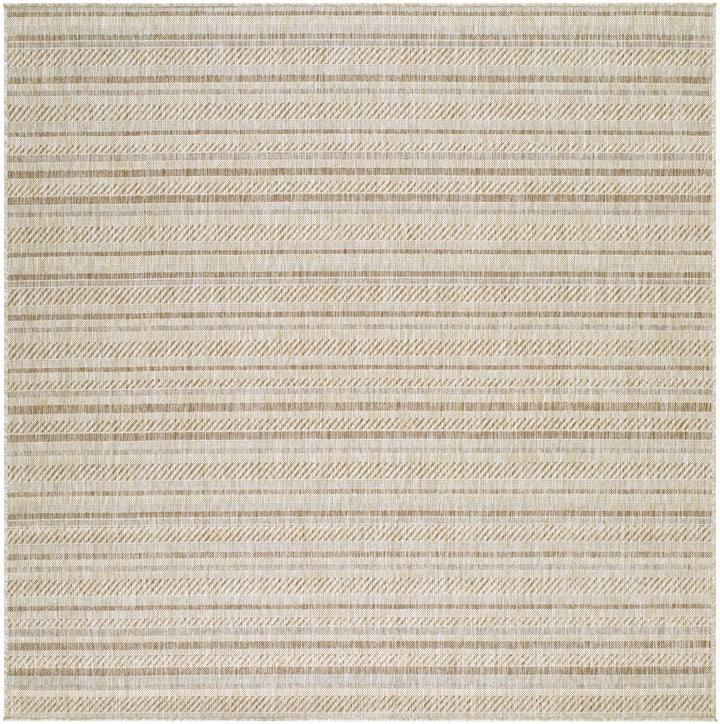 Sultanhisar Contemporary Style Beige Outdoor Area Rug