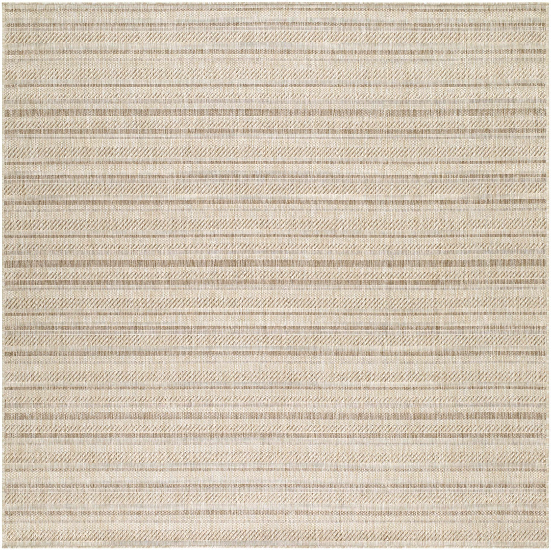 Sultanhisar Contemporary Style Beige Outdoor Area Rug