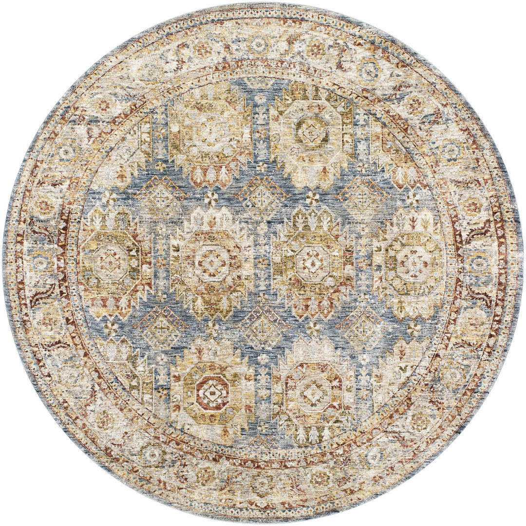 Crescentia Traditional Style Blue & Rust Area Rug