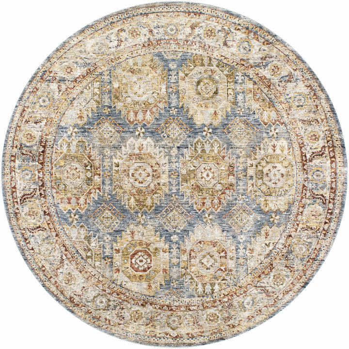 Crescentia Traditional Style Blue & Rust Area Rug