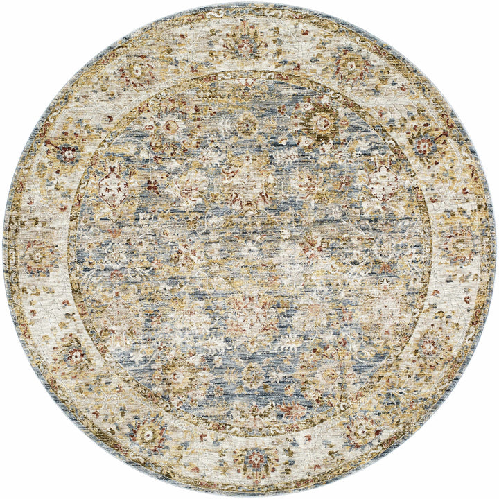 Duong Traditional Style Beige & Blue Area Rug