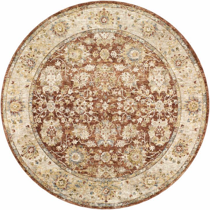Duong Traditional Style Beige And Rust Area Rug