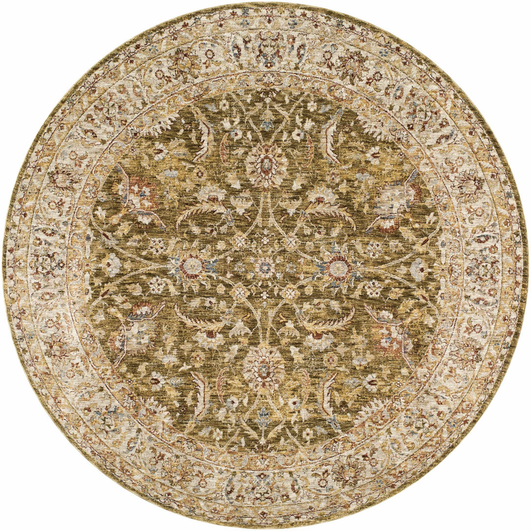 Dyan Traditional Style Olive And Beige Rug
