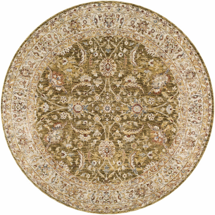 Dyan Traditional Style Olive And Beige Rug
