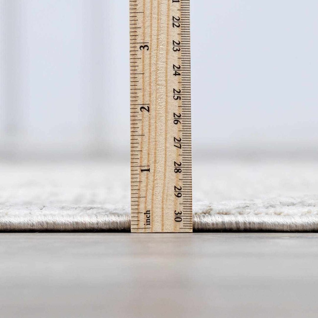 Transitional Style Gray Machine Woven Rug