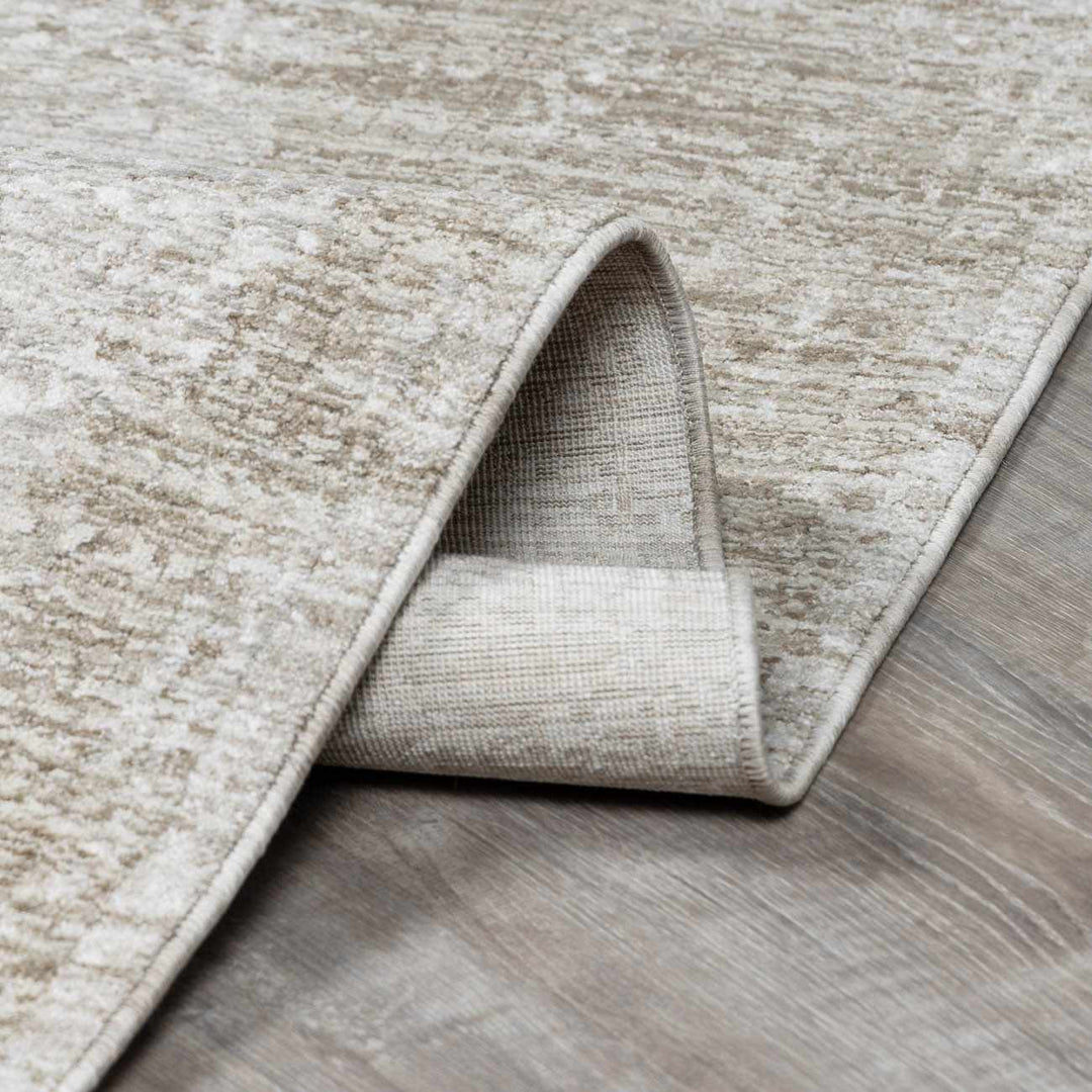 Josie Traditional Style Beige Rug
