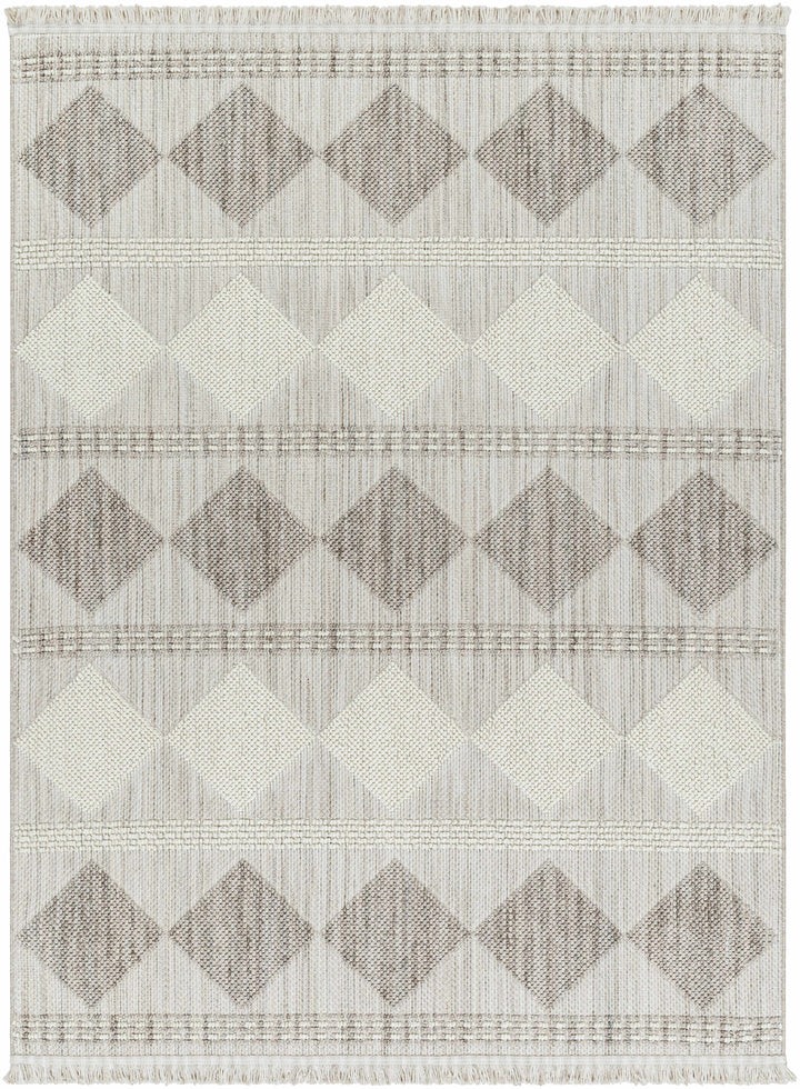 Igone Bohemian Style Beige And Gray Area Rug