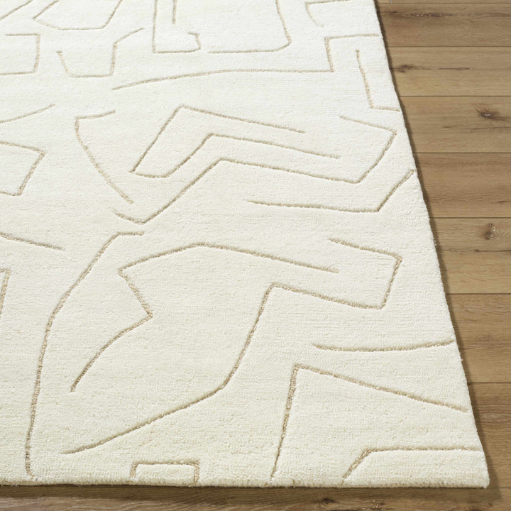 Mony Modern Abstract Design Beige Hand Tufted Wool Rug