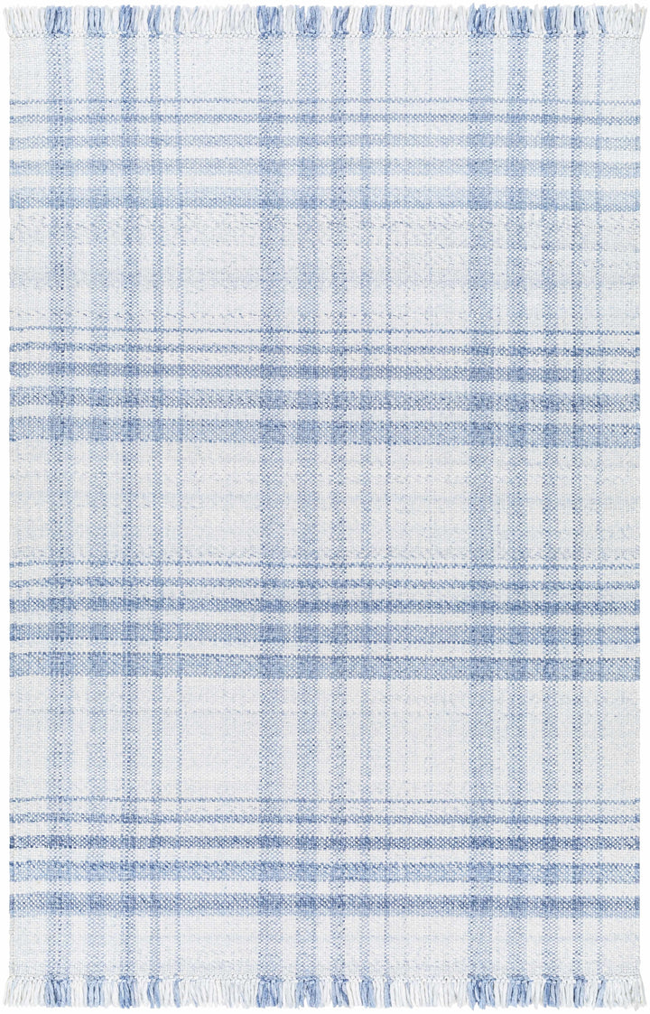 Inara Contemporary Style Blue And White Area Rug