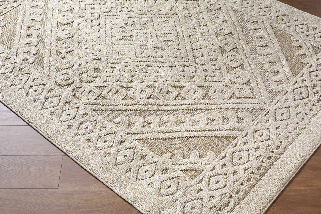 Hibah Beige Traditional Style Outdoor Area Rug