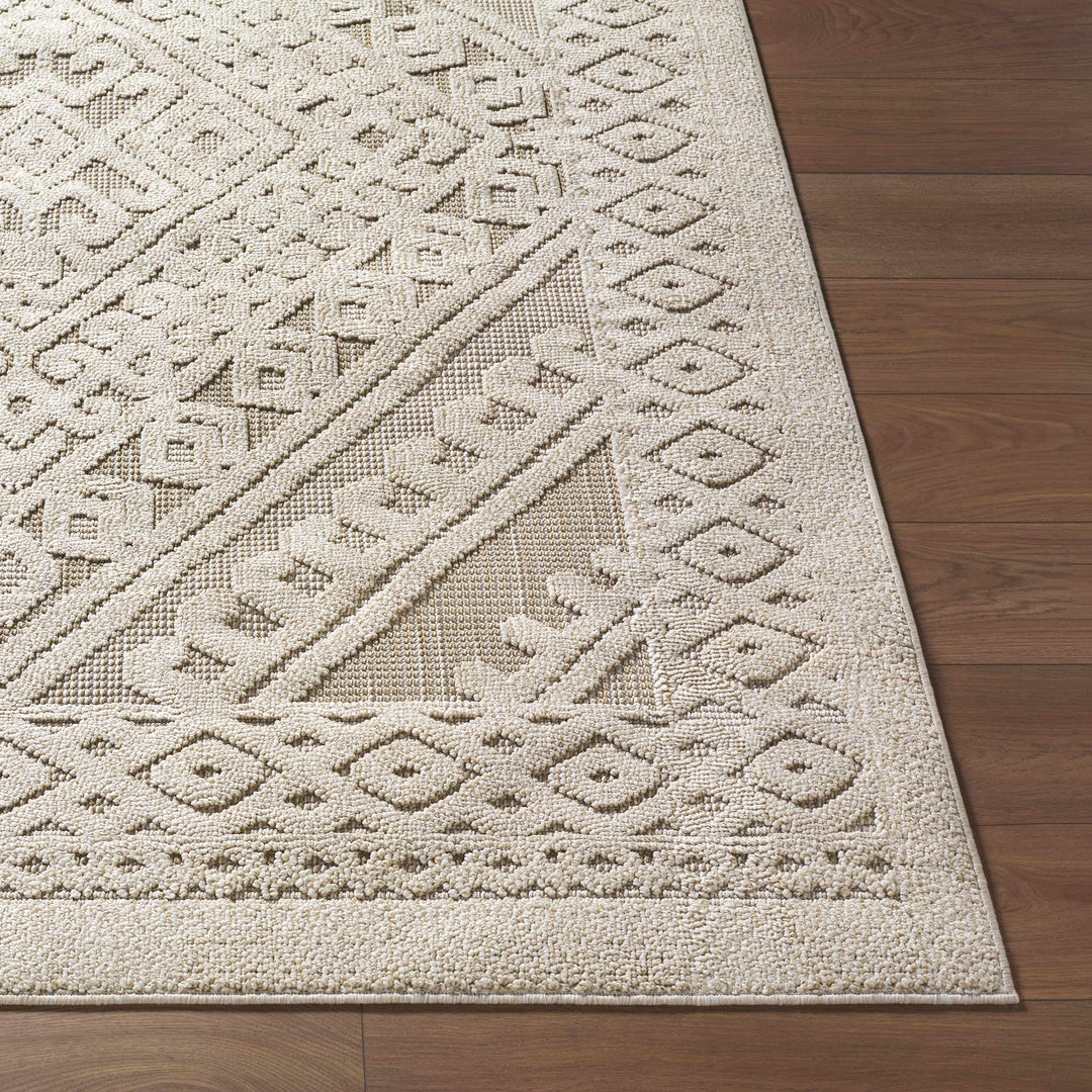 Hibah Beige Traditional Style Outdoor Area Rug