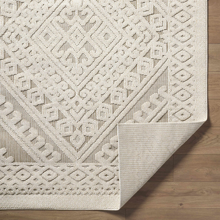 Hibah Beige Traditional Style Outdoor Area Rug