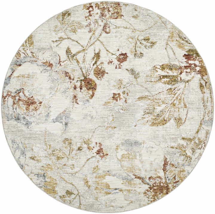 Nasia Modern Floral Design Ivory And Brown Area Rug