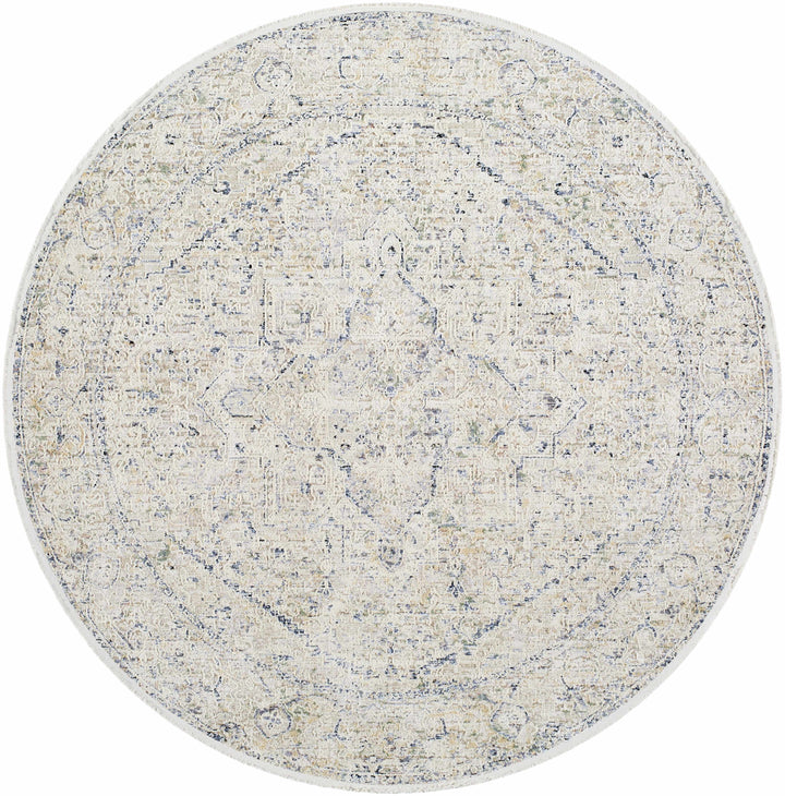 Charo Traditional Style Beige And Blue Area Rug
