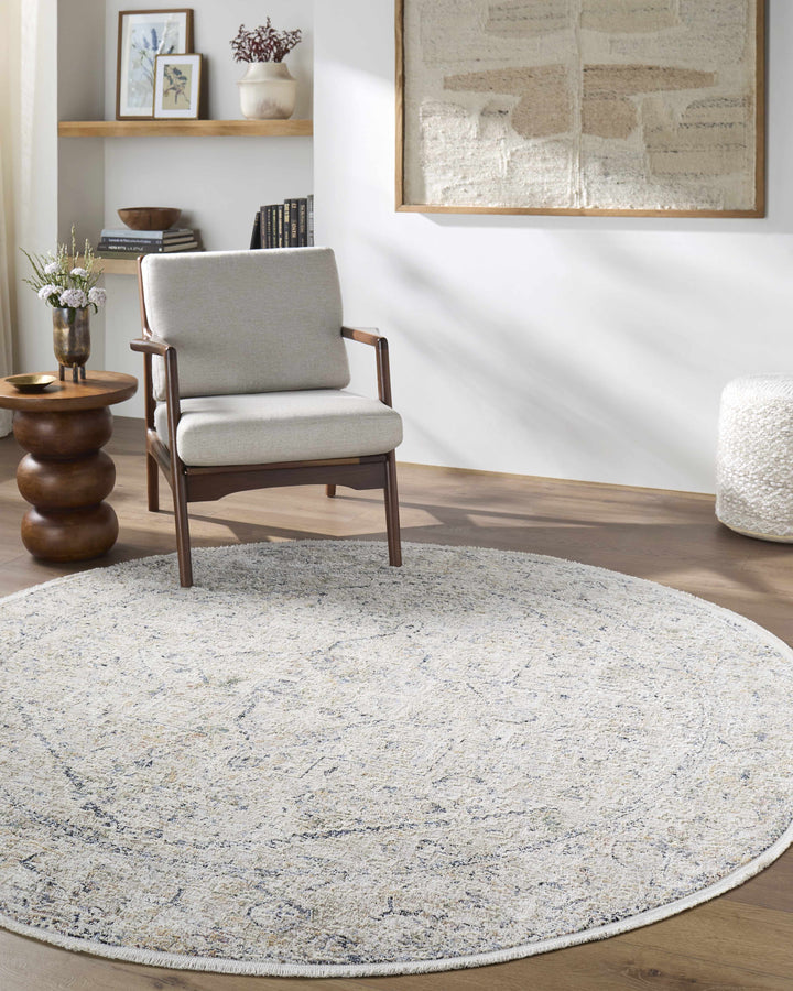 Charo Traditional Style Beige And Blue Area Rug