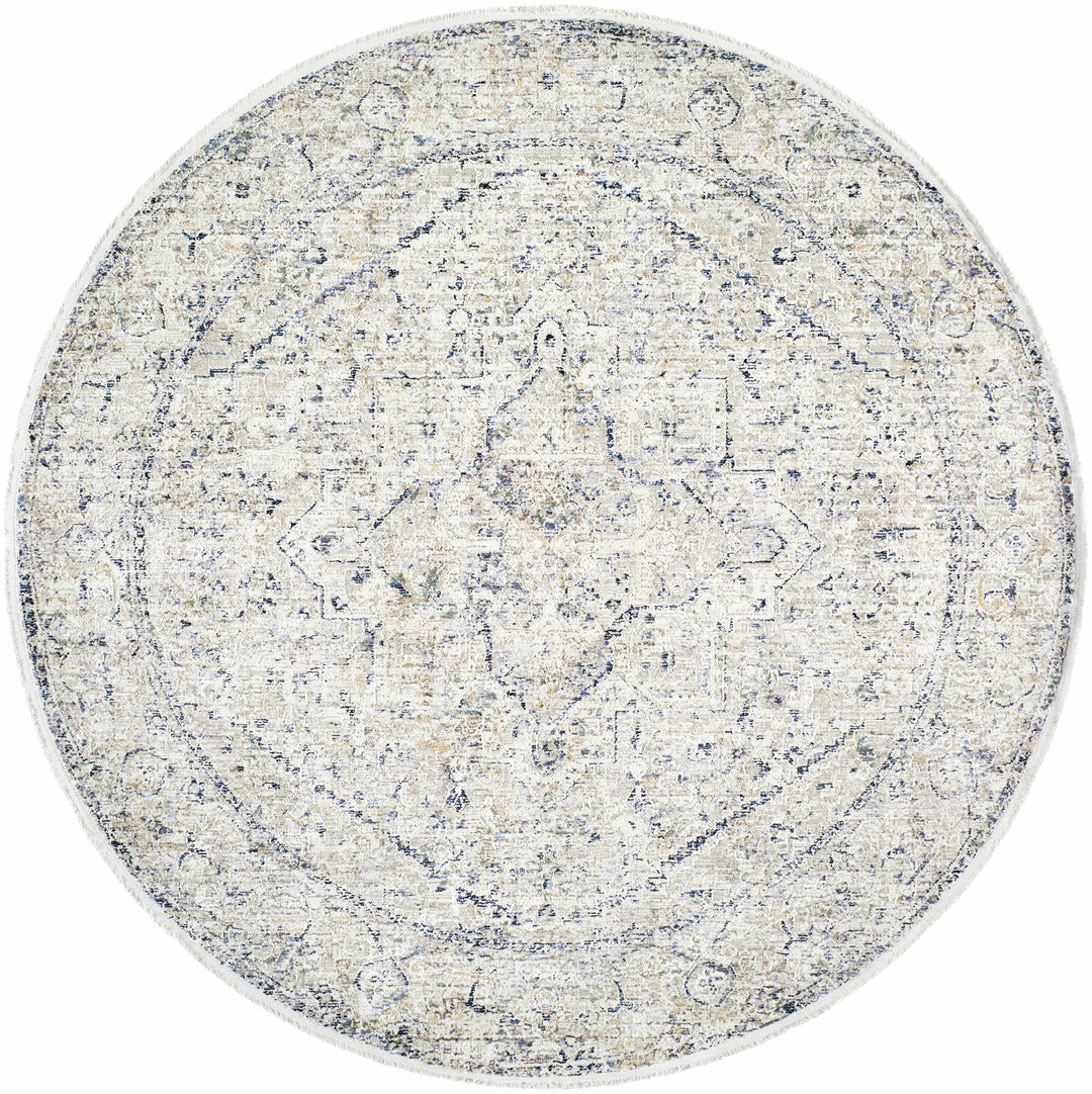 Charo Traditional Style Beige And Blue Area Rug