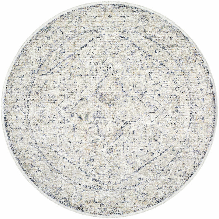 Charo Traditional Style Beige And Blue Area Rug