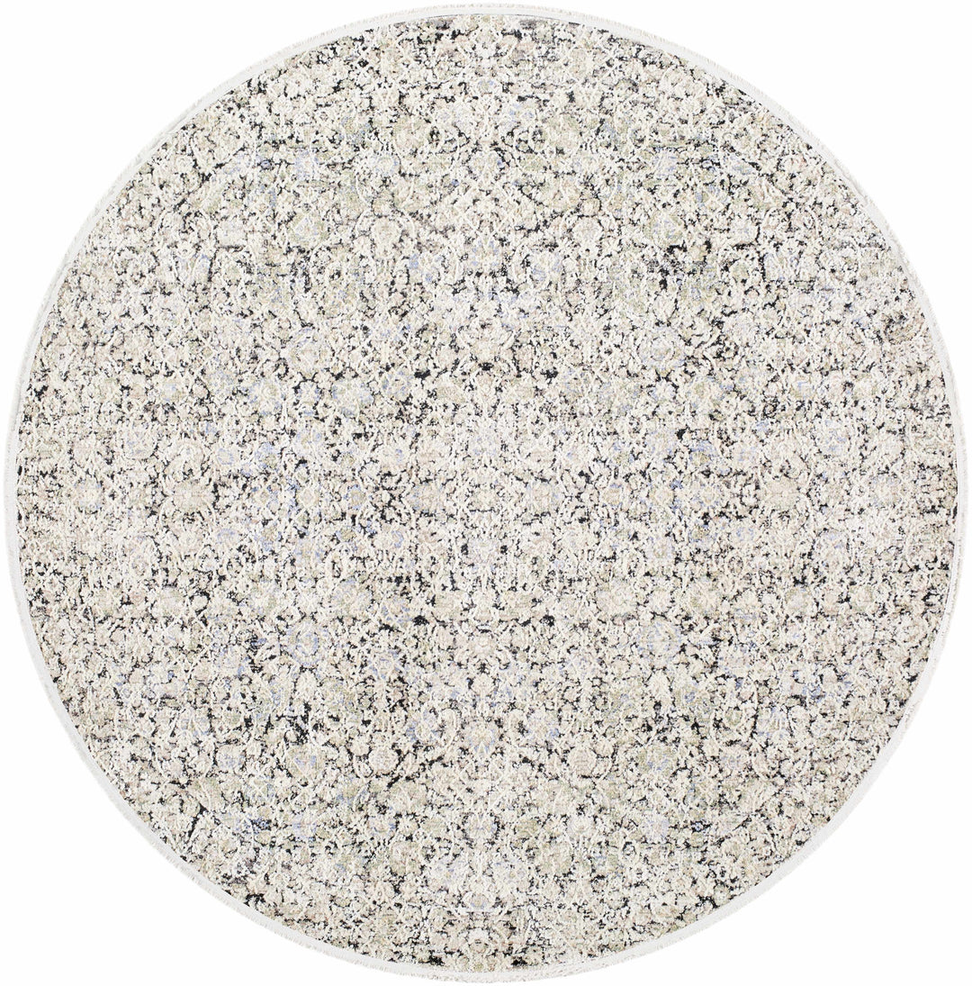 Haran Traditional Style Ivory And Blue Area Rug