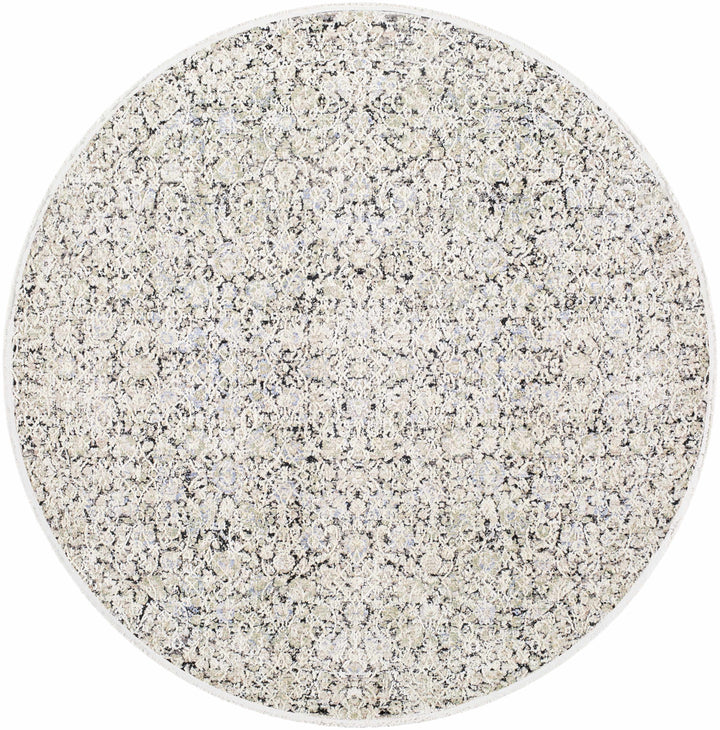 Haran Traditional Style Ivory And Blue Area Rug