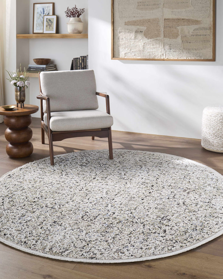 Haran Traditional Style Ivory And Blue Area Rug