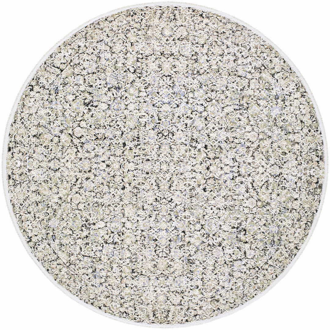 Haran Traditional Style Ivory And Blue Area Rug