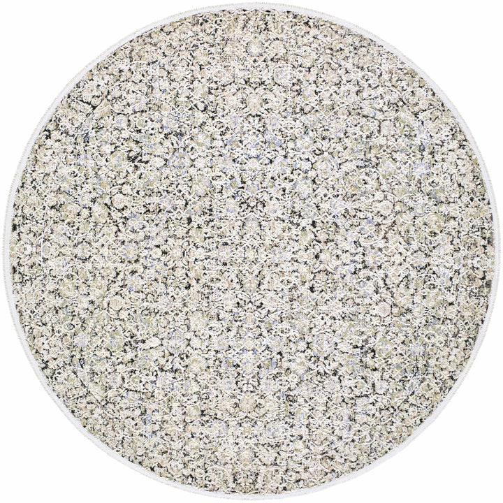 Haran Traditional Style Ivory And Blue Area Rug