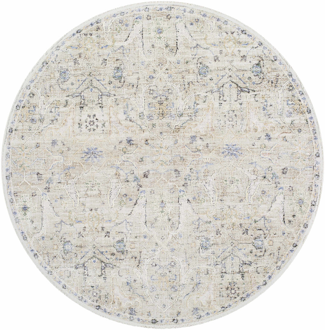 Margo Traditional Style Beige And Blue Area Rug