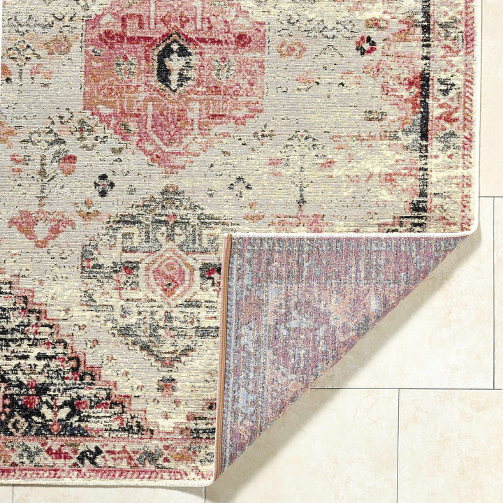 Trudy Traditional Style Ivory And Pink Outdoor Area Rug