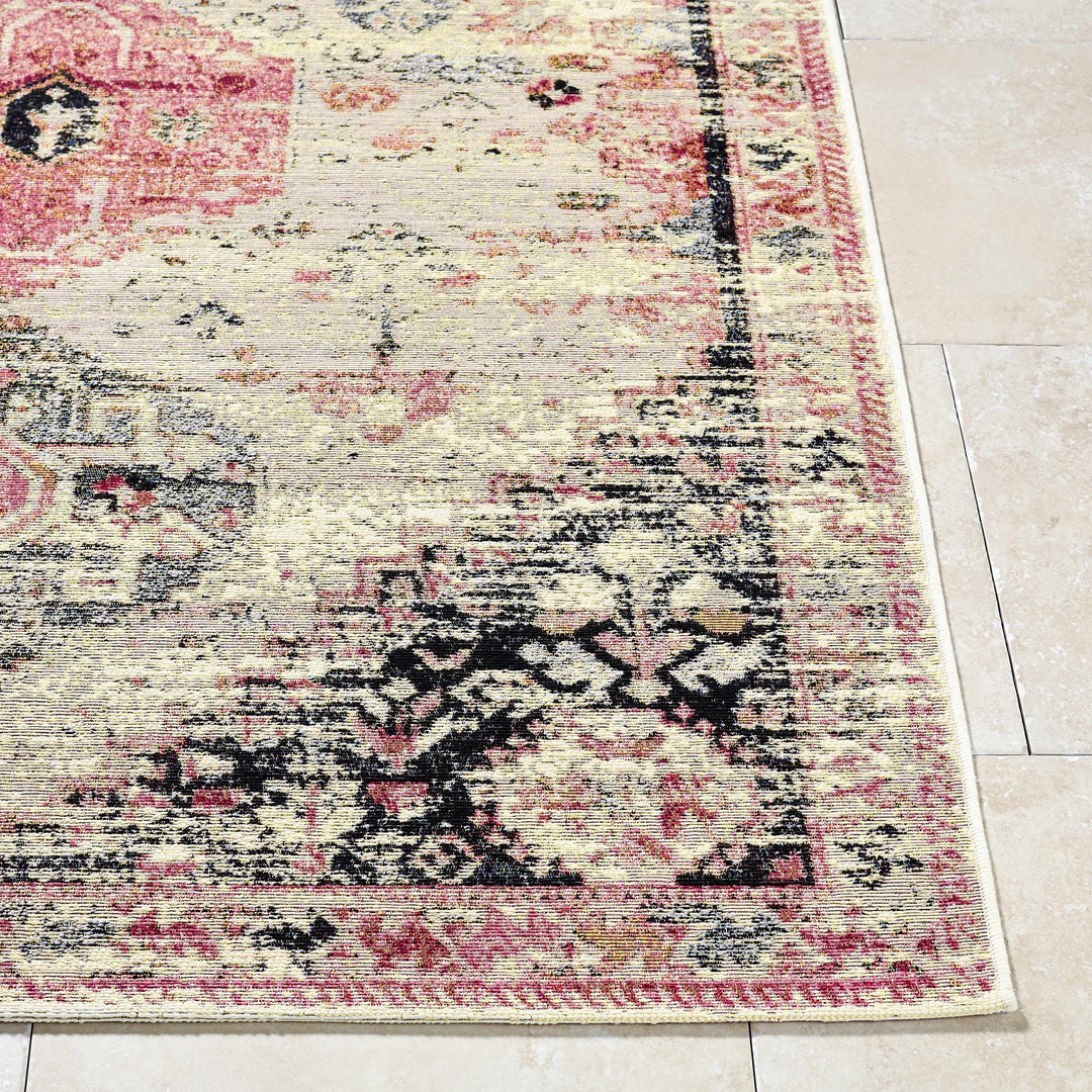 Trudy Traditional Style Ivory And Pink Outdoor Area Rug