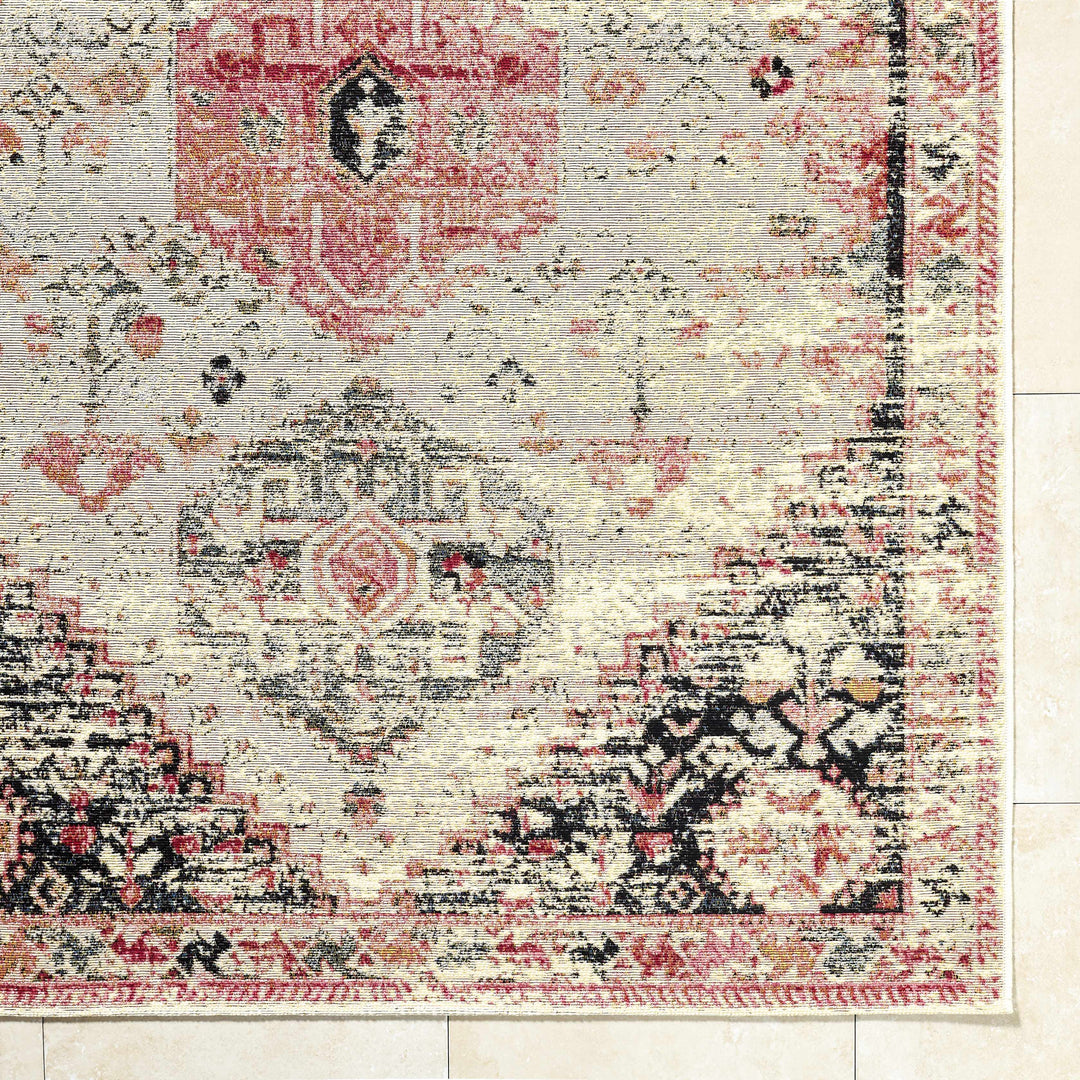 Trudy Traditional Style Ivory And Pink Outdoor Area Rug