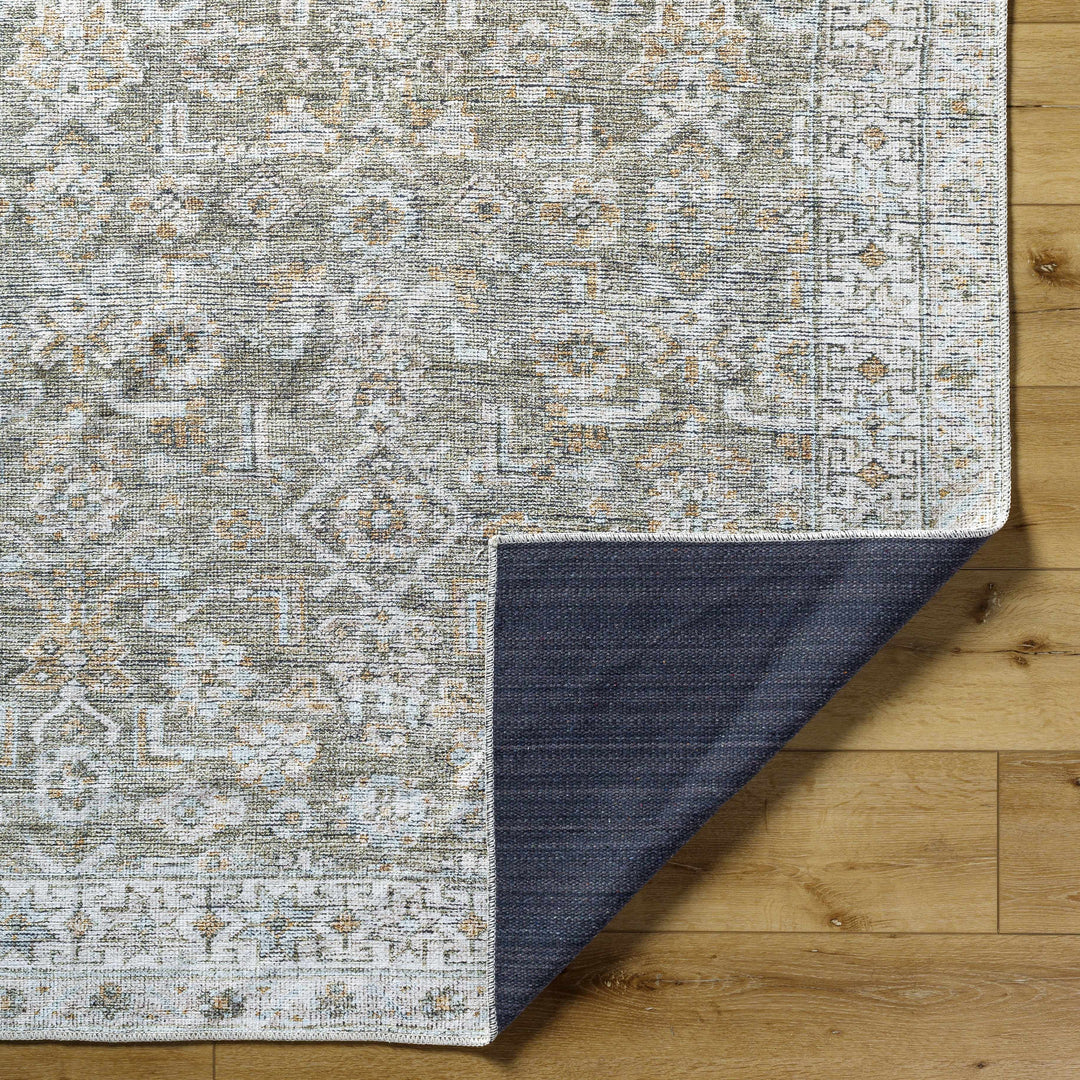 Tisha Traditional Style Green And Orange Washable Area Rug
