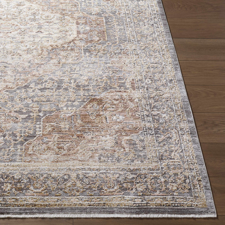 Tulio Traditional Style Beige And Brown Area Rug