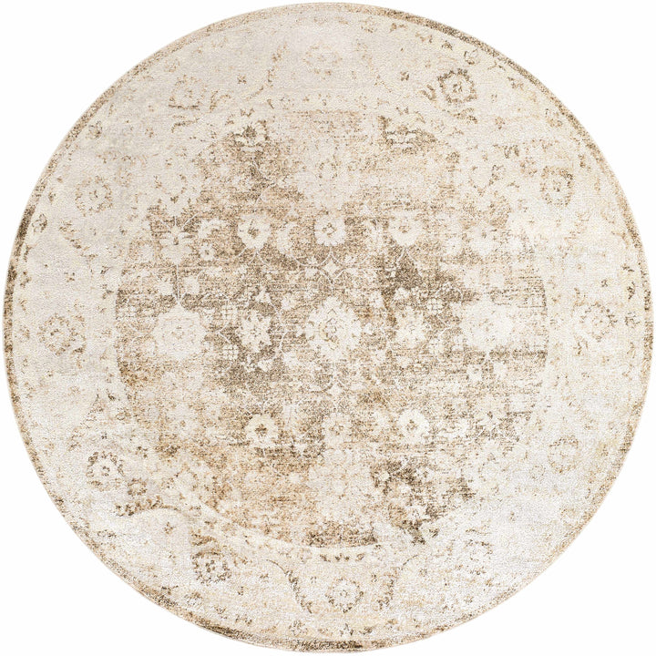 Aniyah Traditional Beige And Brown Washable Rug
