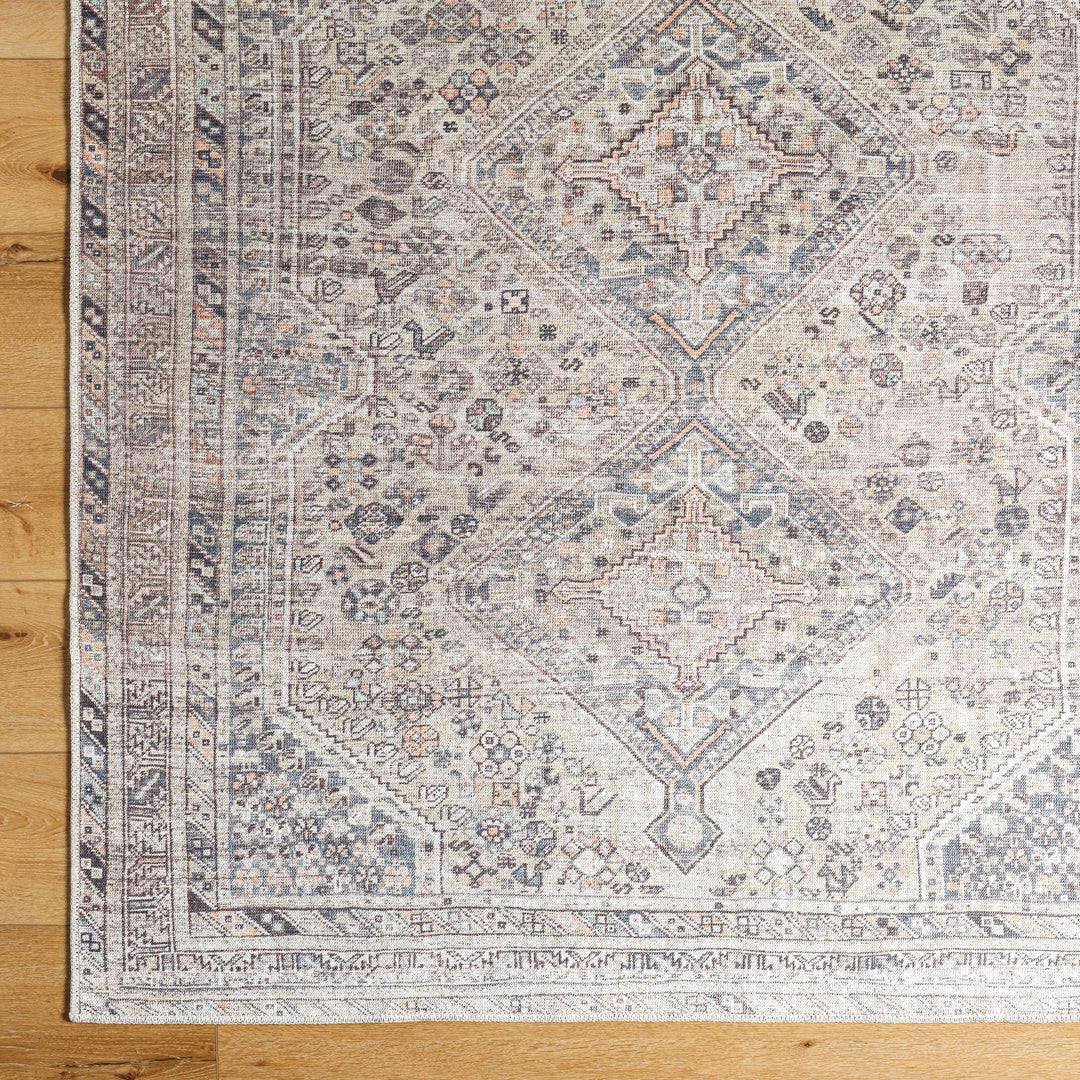 Trula Traditional Style Gray And Beige Washable Area Rug