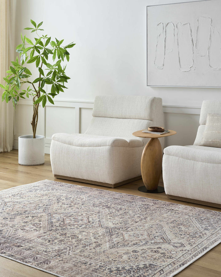 Trula Traditional Style Gray And Beige Washable Area Rug