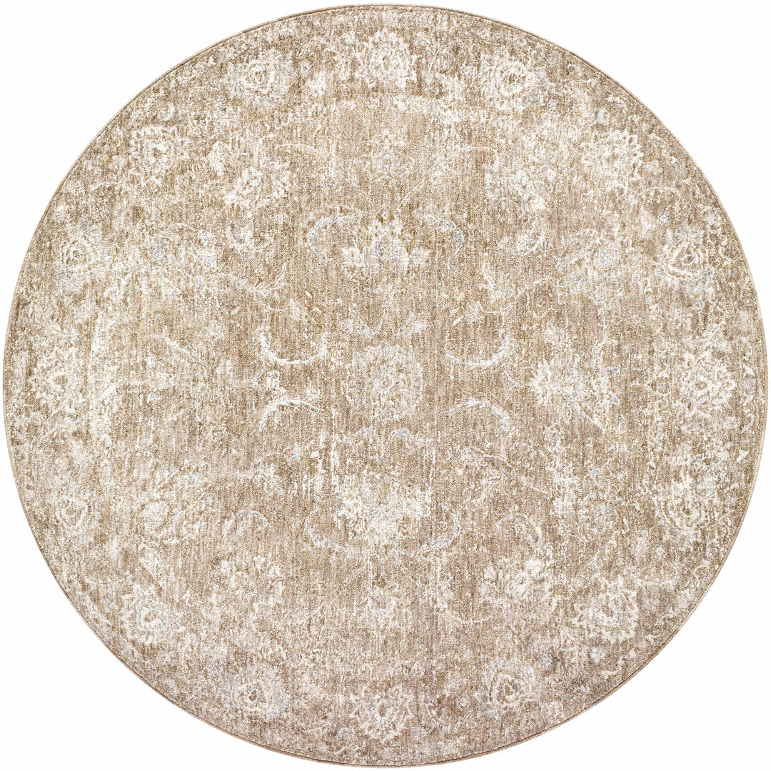 Tylie Traditional Style Brown Area Rug