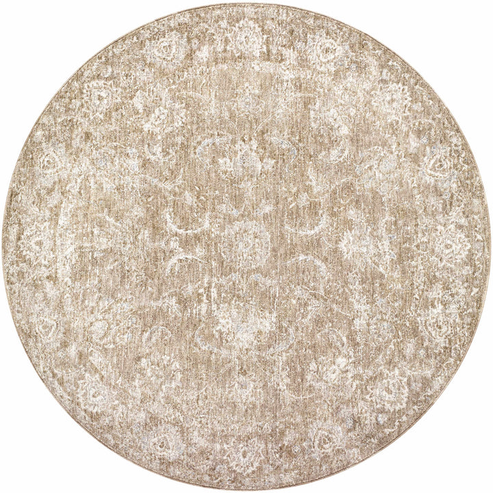 Tylie Traditional Style Brown Area Rug